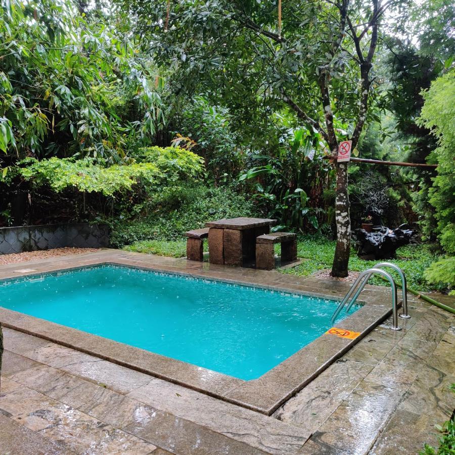 Villa Temperature Controlled Pool Plantation Walk Tour on F&SB & on SPA