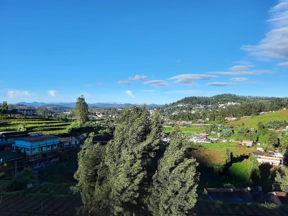 King Room Mountain View