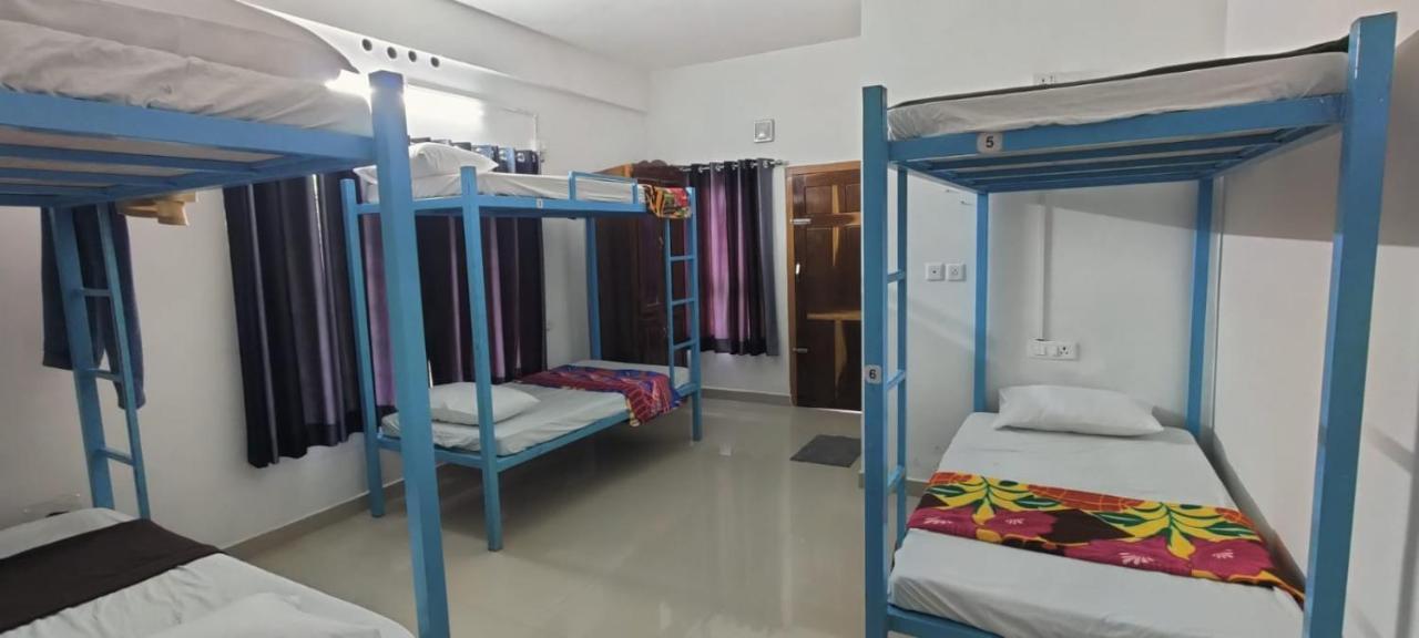 Bed in 6-Bed Dormitory Room