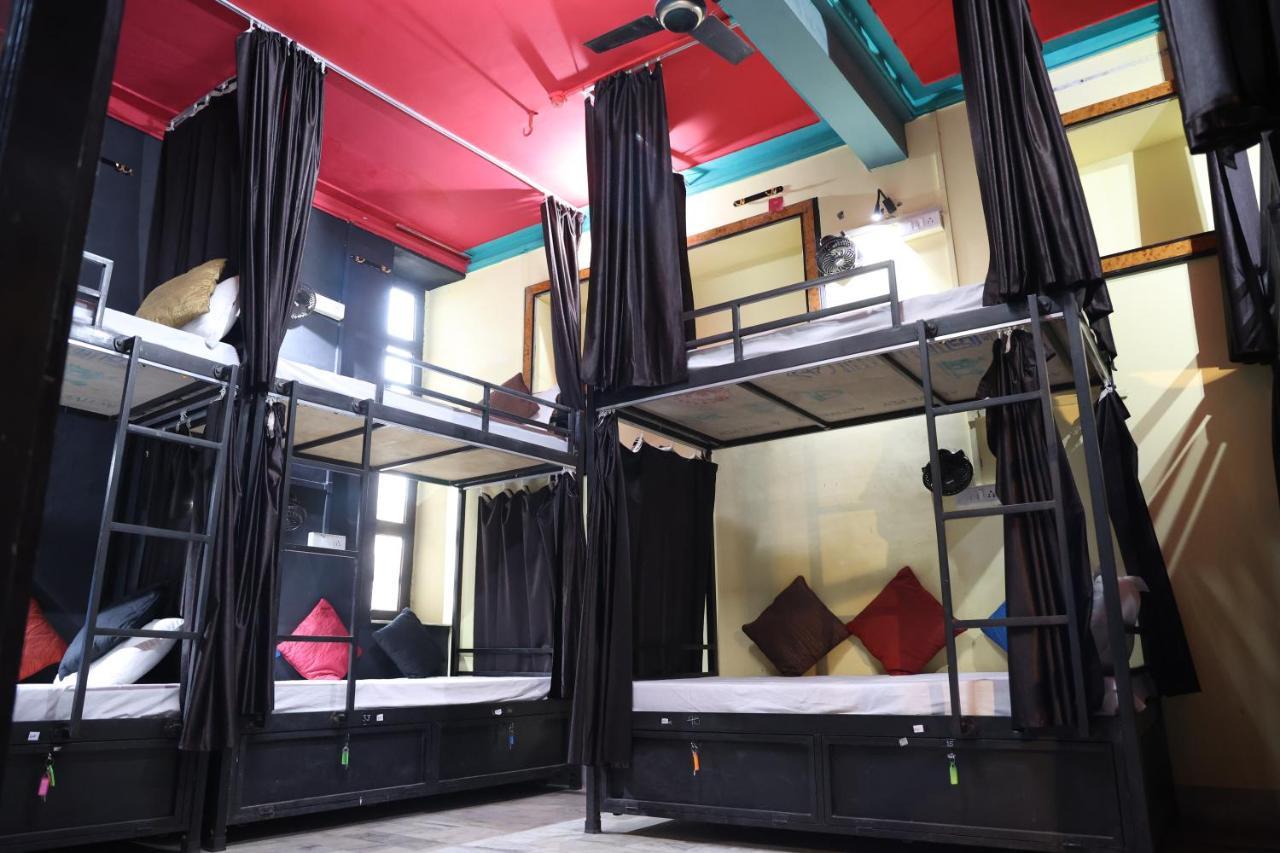 Bunk Bed Female Dormitory Room,1315411552:JPEG