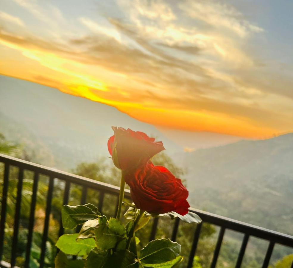 King Room Mountain View