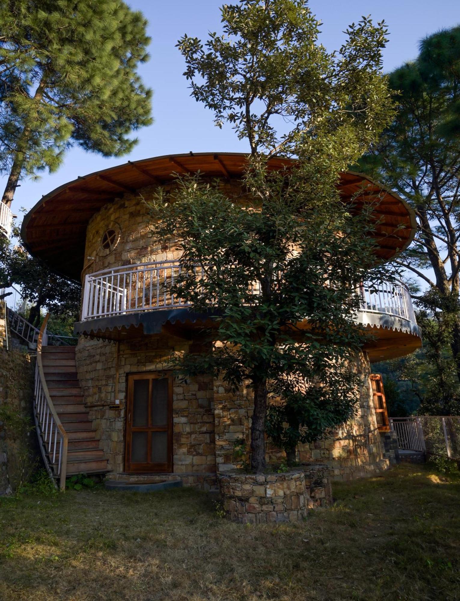 Family Studio
