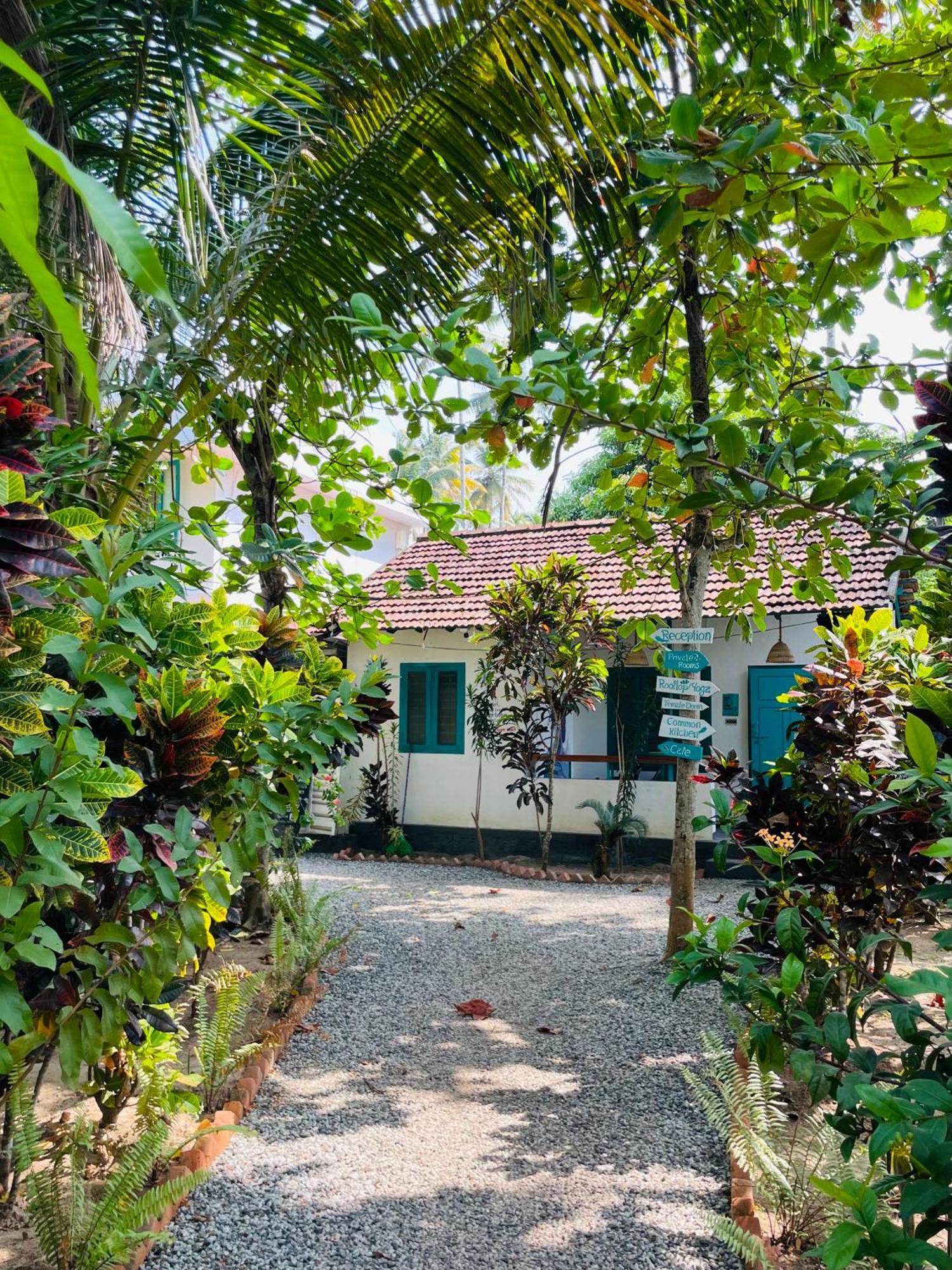 Bed 6-Bed Mixed Dormitory Room