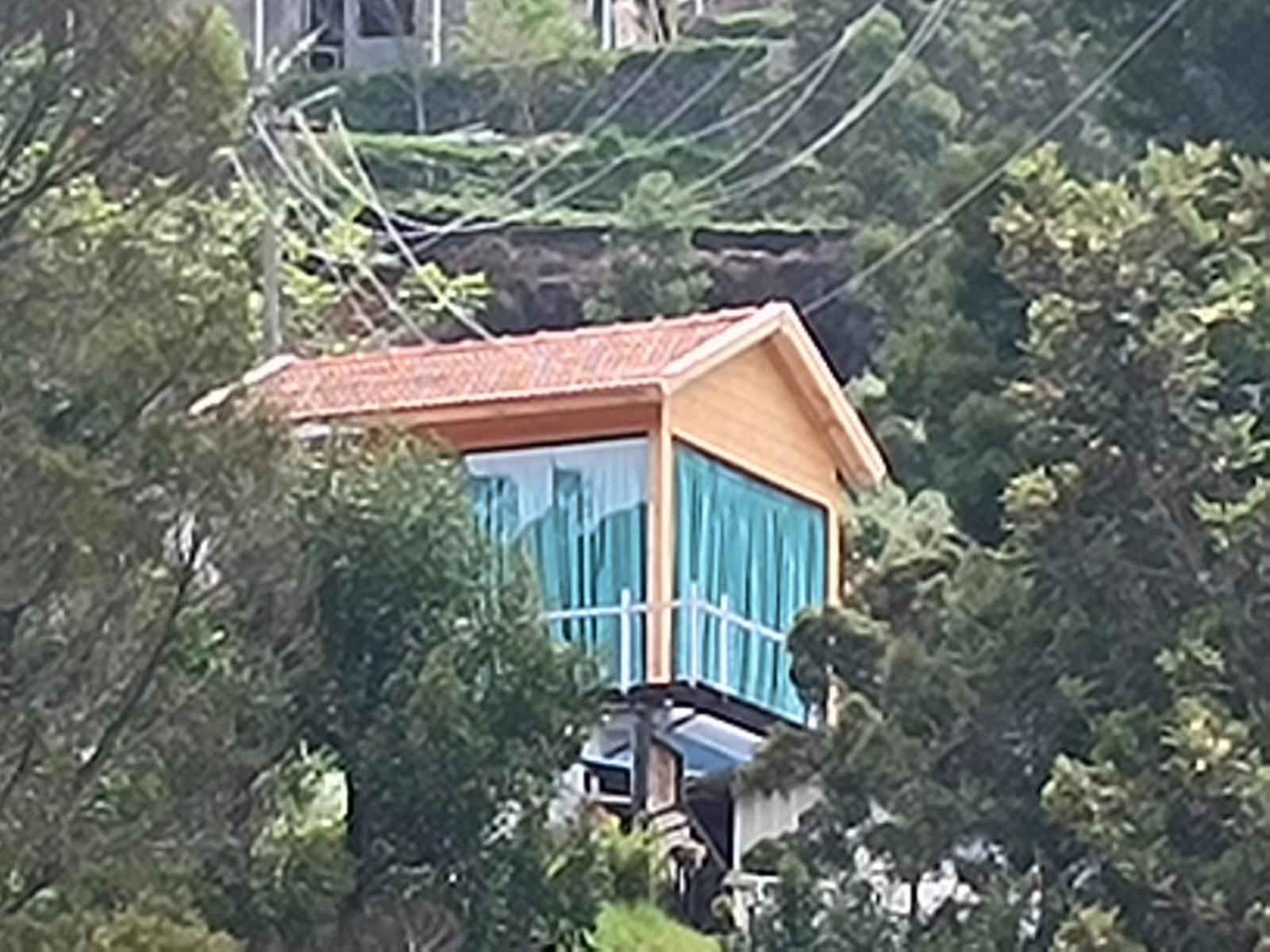 Studio Mountain View