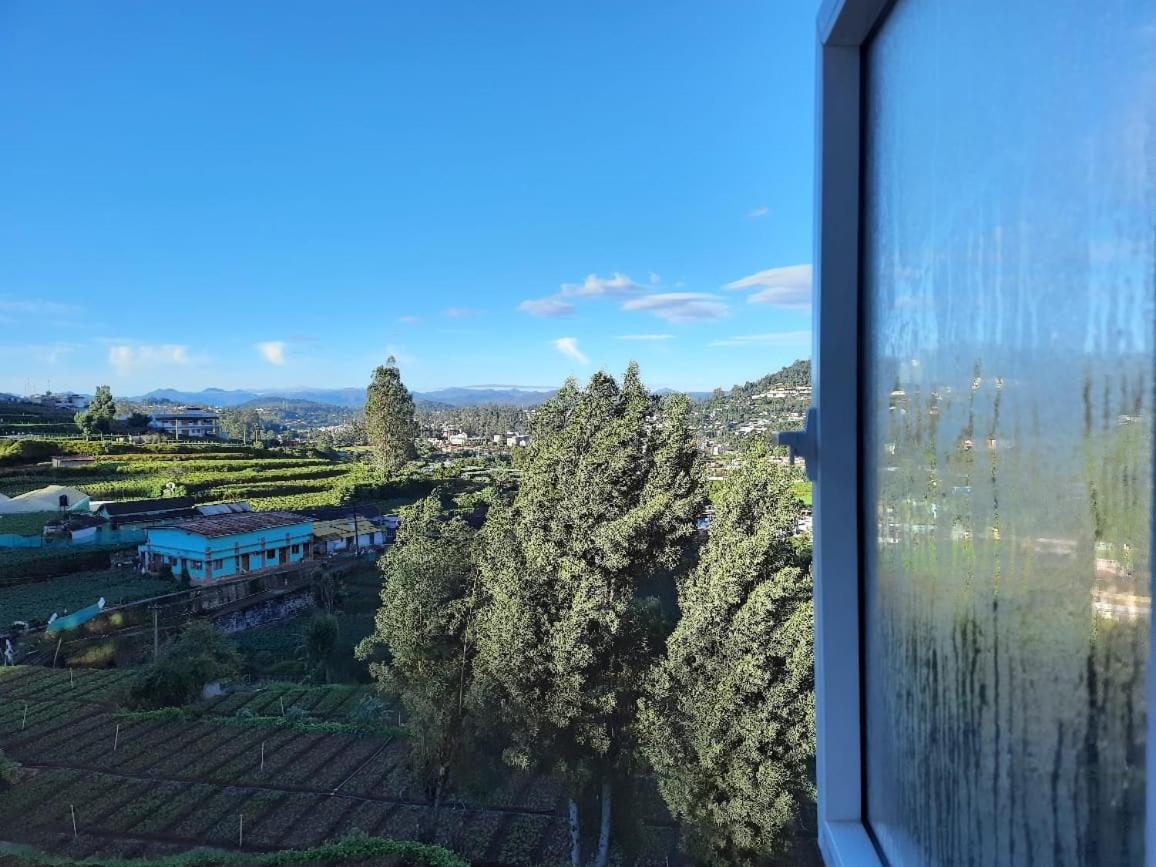 King Room Mountain View