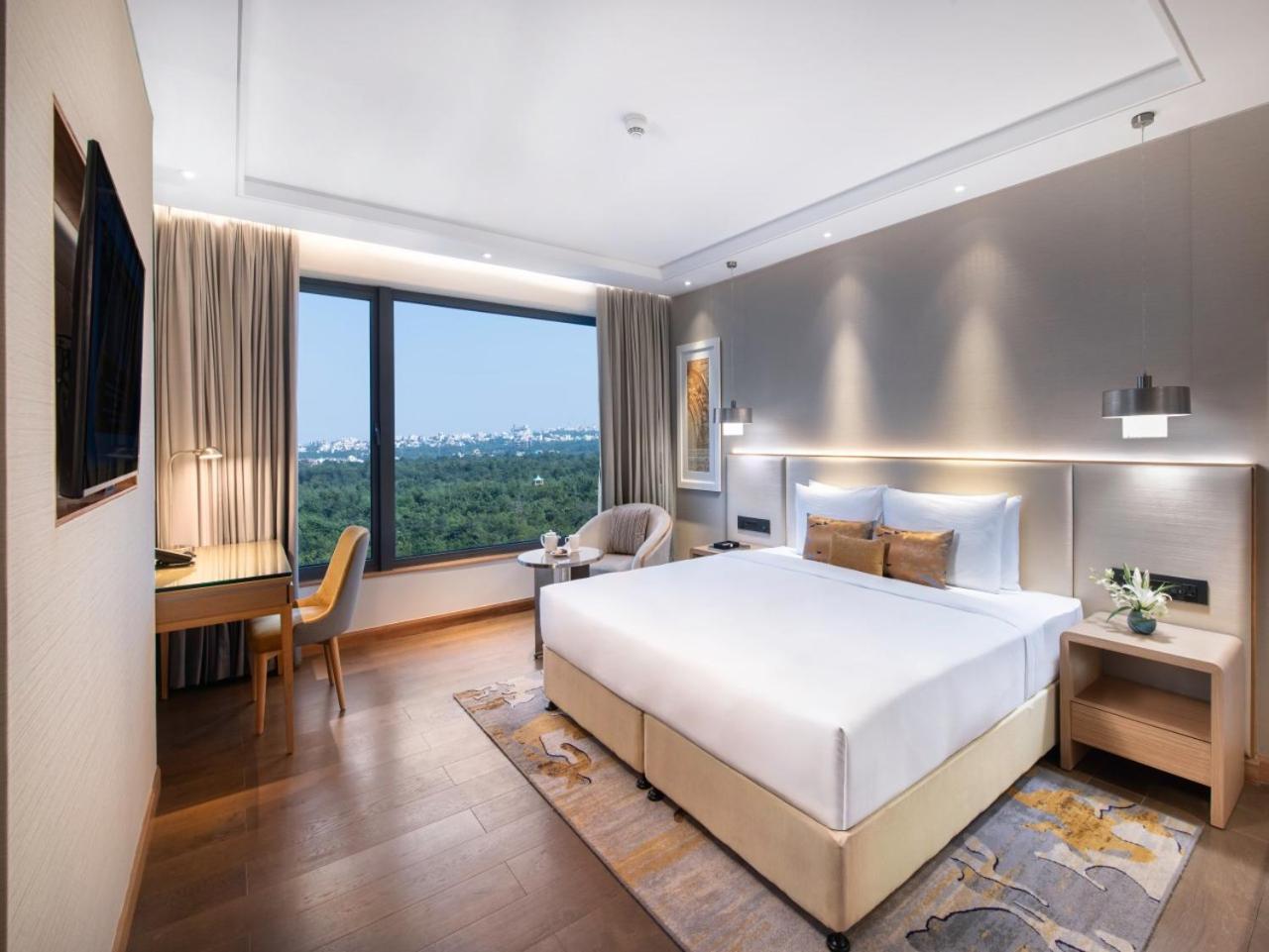 Premium Suite