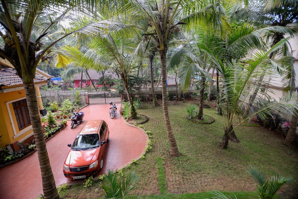 King Studio Garden View