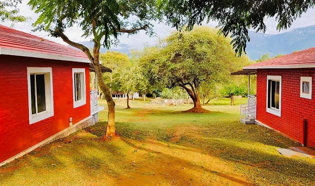 The Wild Fo'Rest Resorts-1