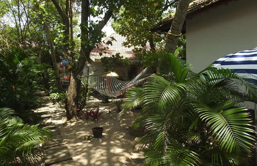Alleppey Beach Garden-1