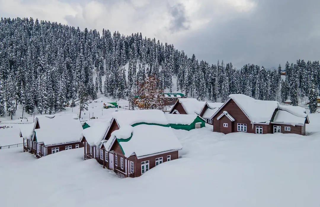 Gulmarg Woods By Stay Pattern-1