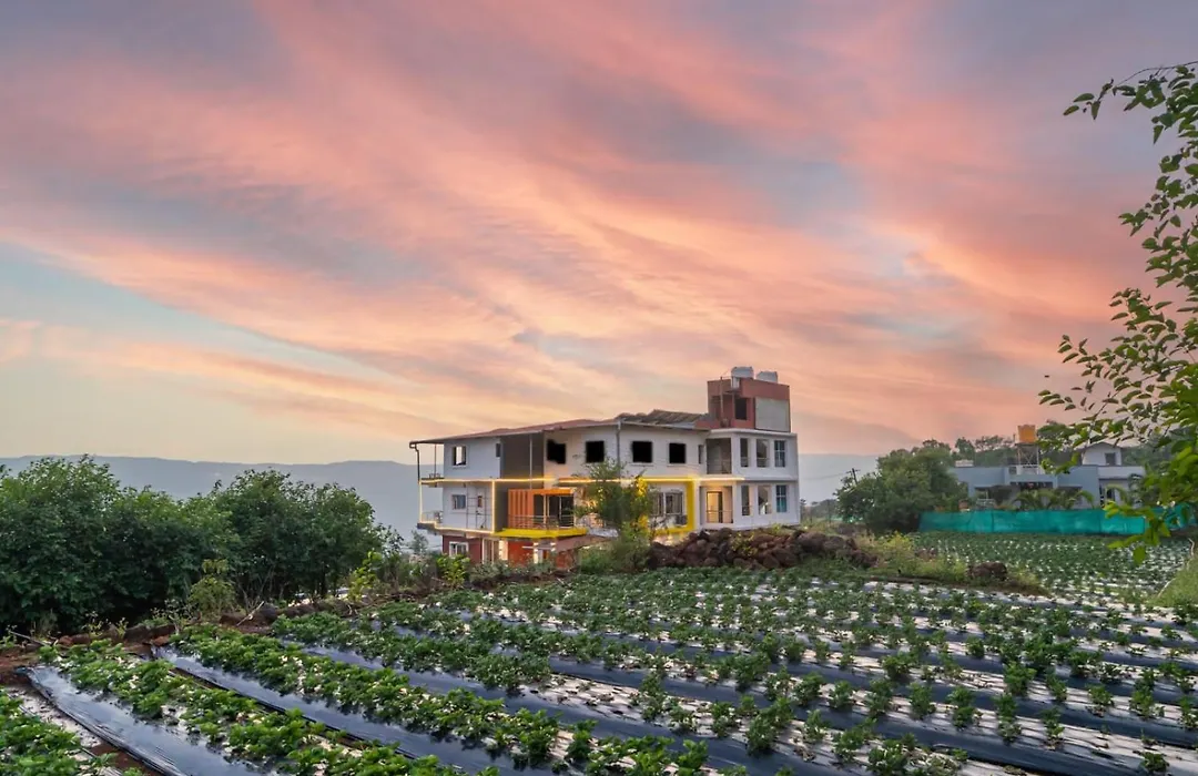 Strawberry King Resort-1