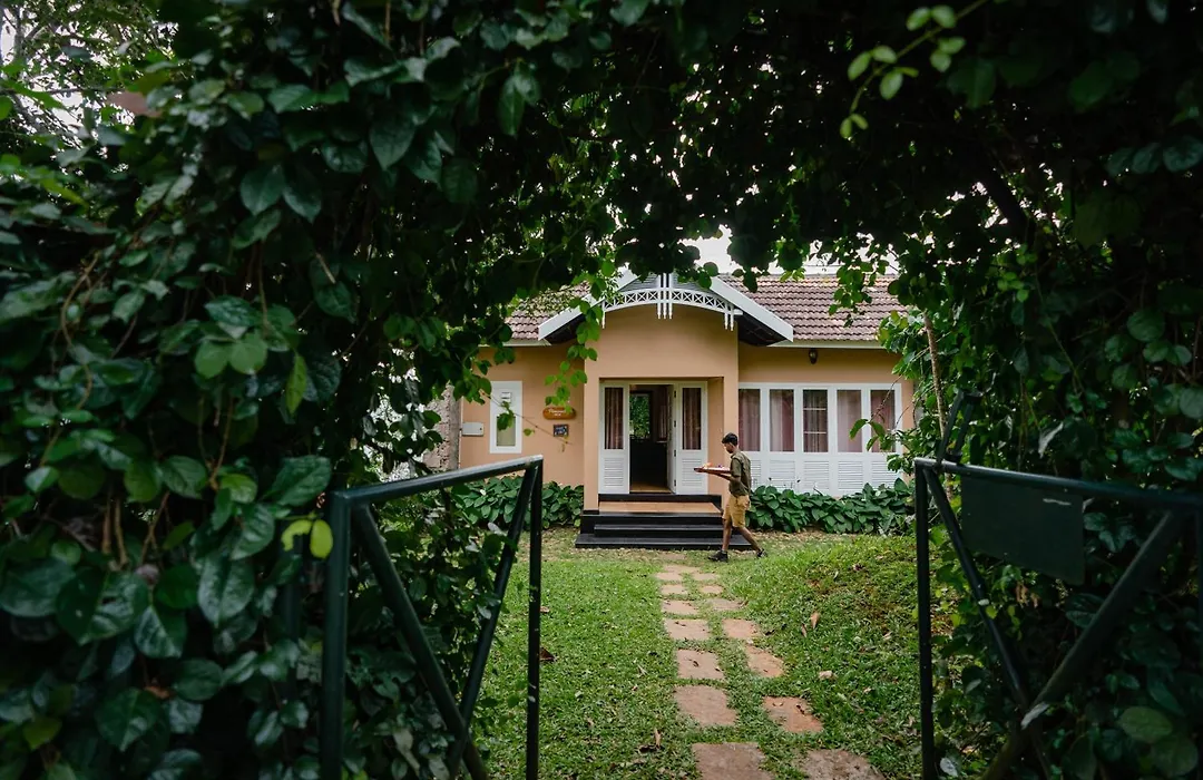 After The Rains - Rainforest Lodge, Wayanad-1