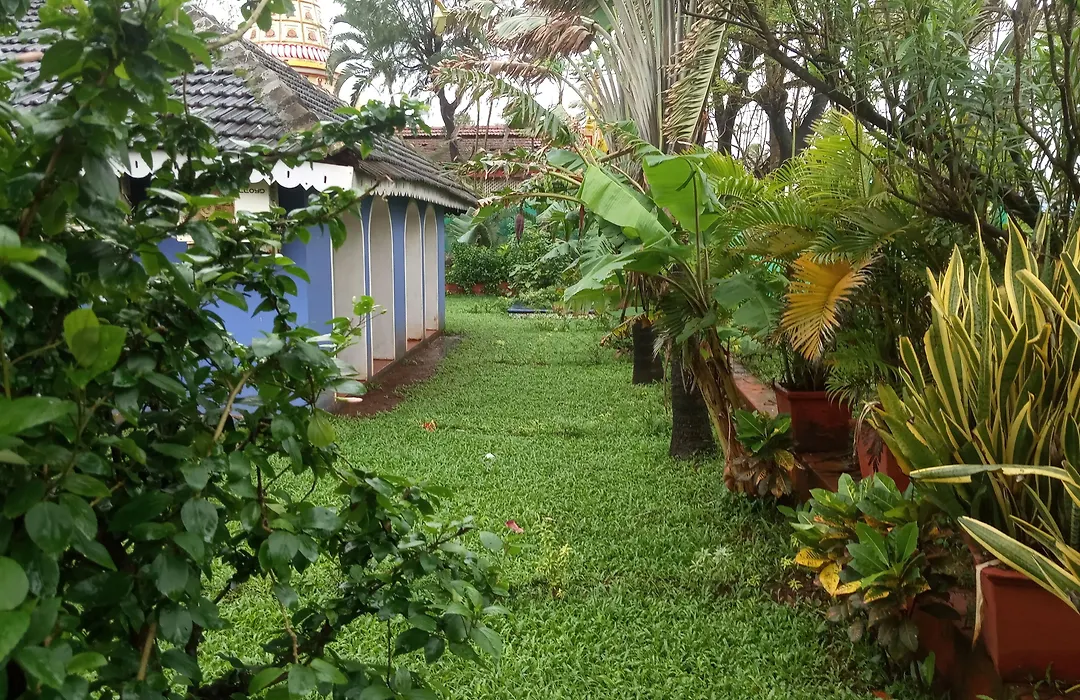 Baia Do Sol - Beachfront Boutique Resort In Baga, Calangute-1