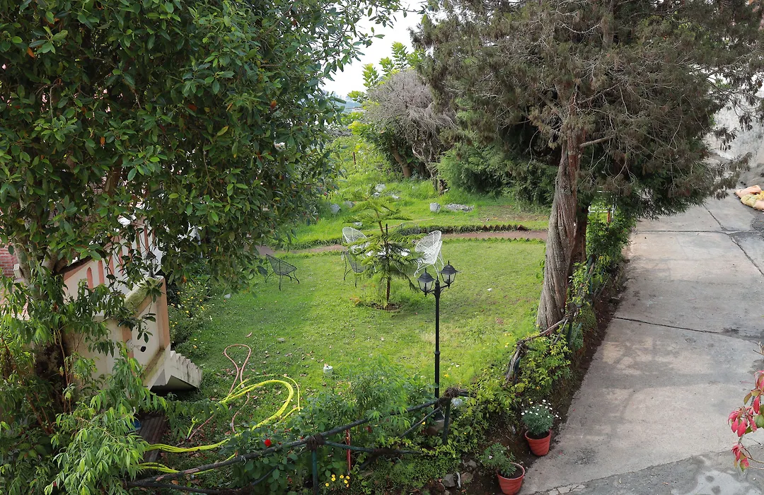 Mango Hill Kodai-1
