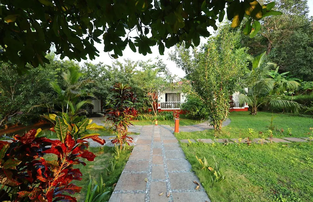 Wild Berry Resort Agonda-1
