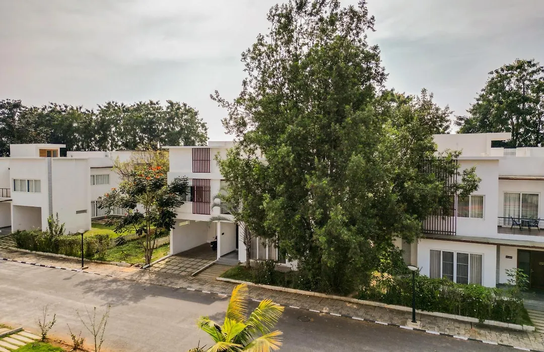 Spree Resort At Century Wintersun-1