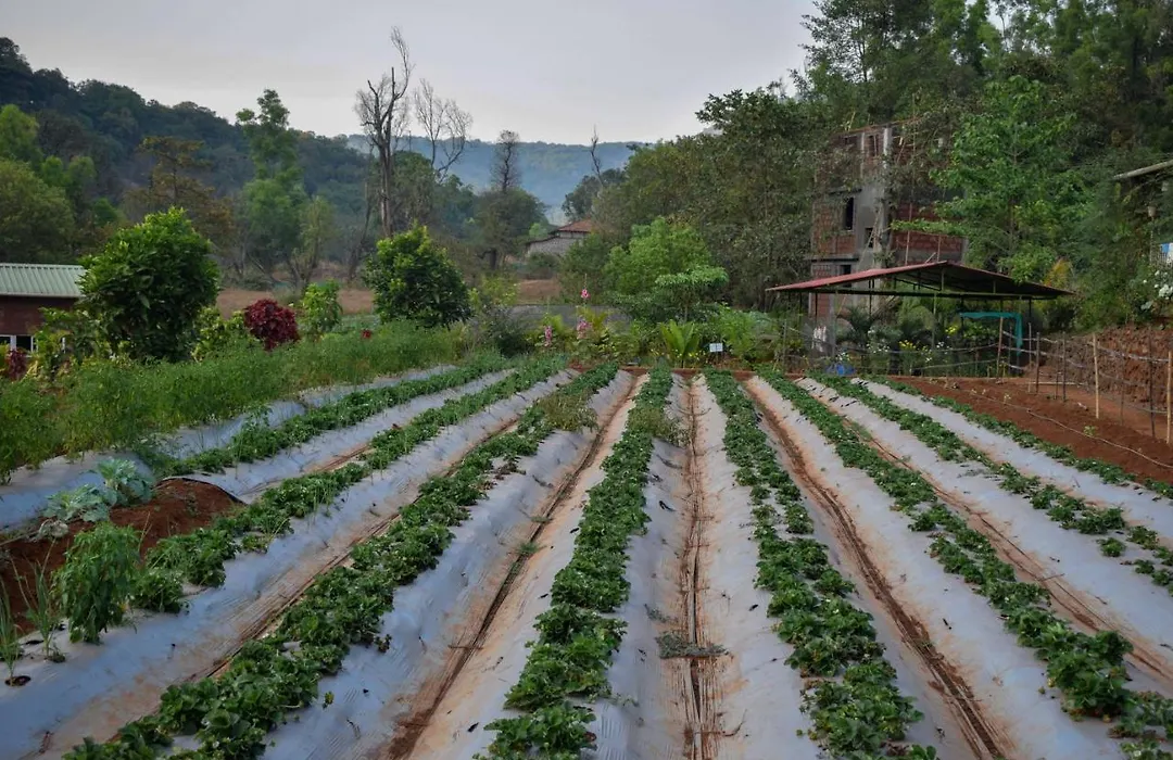 Jungle Valley Agriculture Resort-1