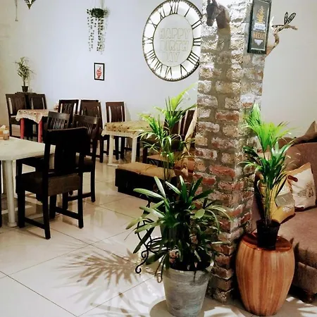 Rangbaari Stays & Cafe-3