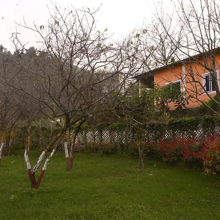 Nature Walk Resort-2