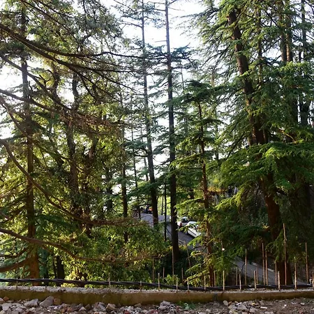 Royale Retreat Hotel & Spa Near Mall Road-2