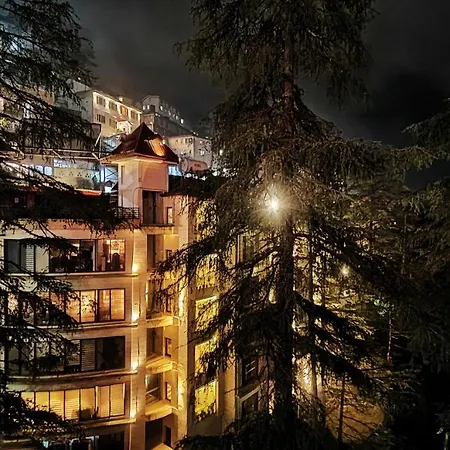 Royale Retreat Hotel & Spa Near Mall Road-3