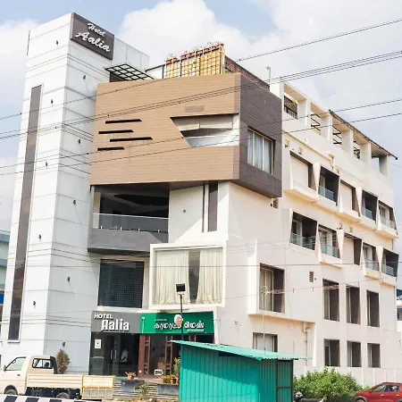 Hotel Aalia-3