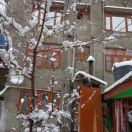 Queen Palace Guest House-3