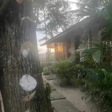 Alleppey Beach Garden-3