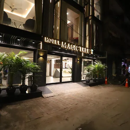 Hotel The Magic Tree - Paharganj New Delhi-2
