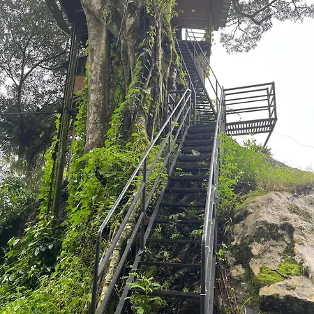 Tree House Munnar-2