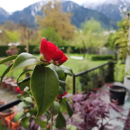 Premier Pahalgam-3