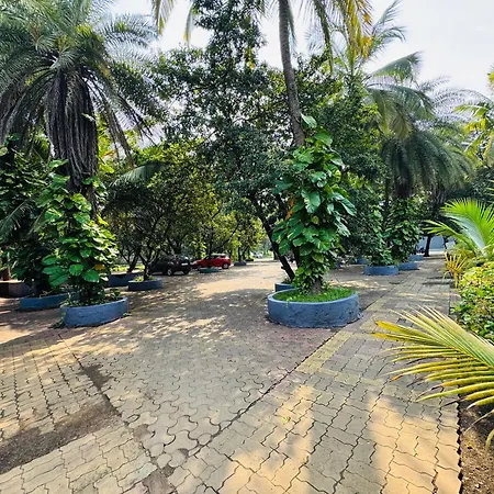 Areca Palms Hotel & Resort-2