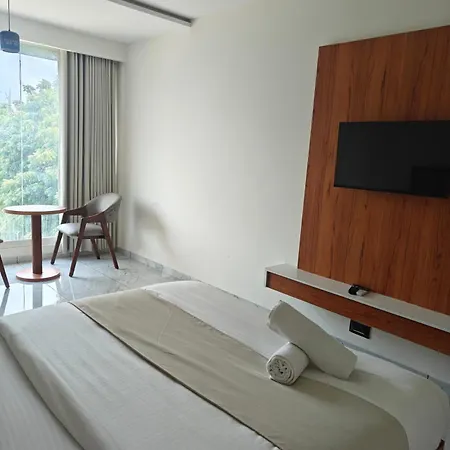 Hotelmaple Tree-2