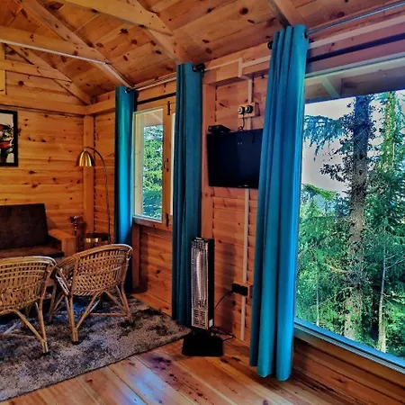 Mid Conifer Resort And Cottages-2