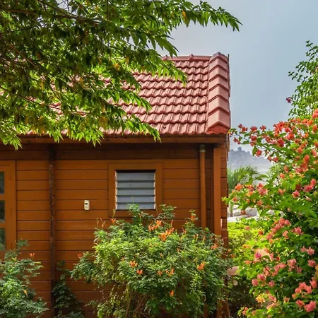 Leo Wooden Resorts-2