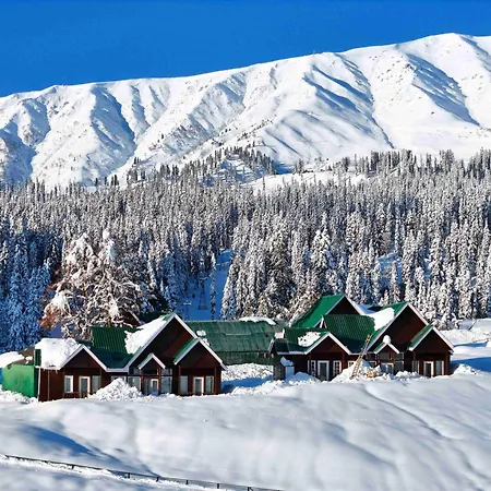 Gulmarg Woods By Stay Pattern-3