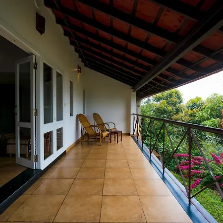 After The Rains - Rainforest Lodge, Wayanad-3