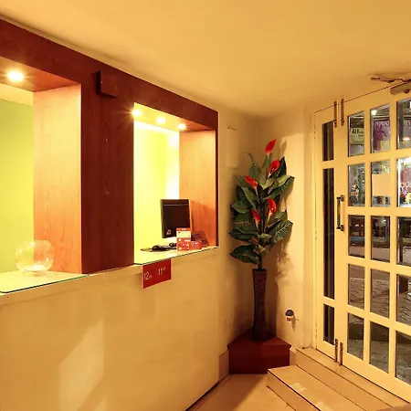 Homely Raj-3