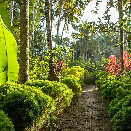 Kahani Paradise-3
