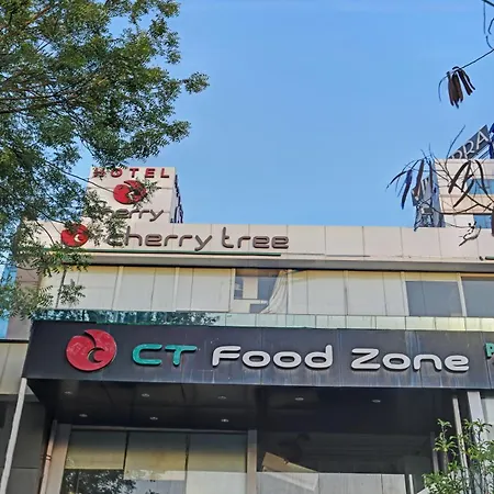 Treebo Cherry Tree - 500 Mtr From Chhappan Dukan-3