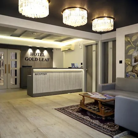 Hotel Gold Leaf-2