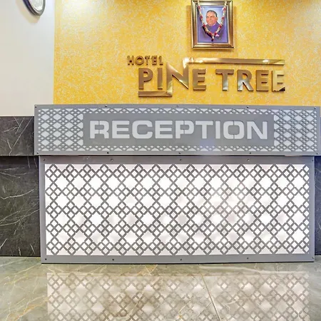 Townhouse Pine Tree-3