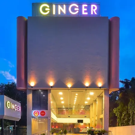 Ginger Bhavnagar-2