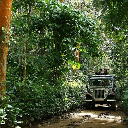 Elephant Court Thekkady-2