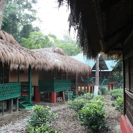 Nature Hunt Eco Camp-2