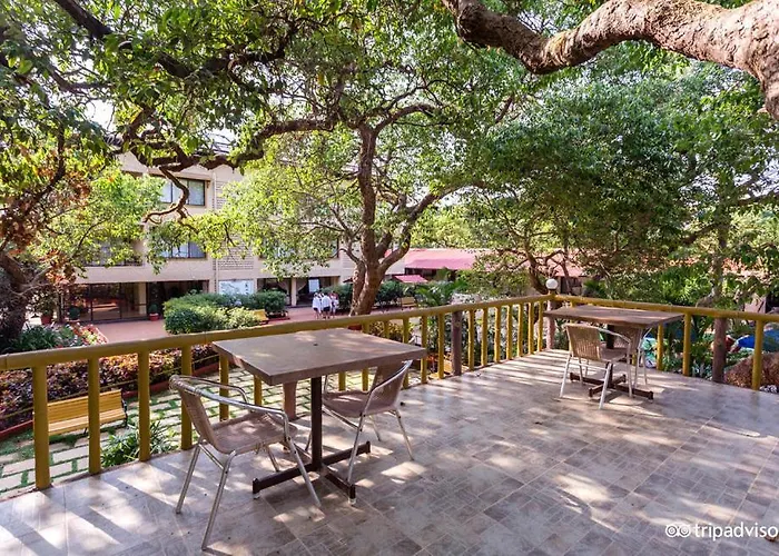 Beautiful Place Near Old Band Road Mahabaleshwar