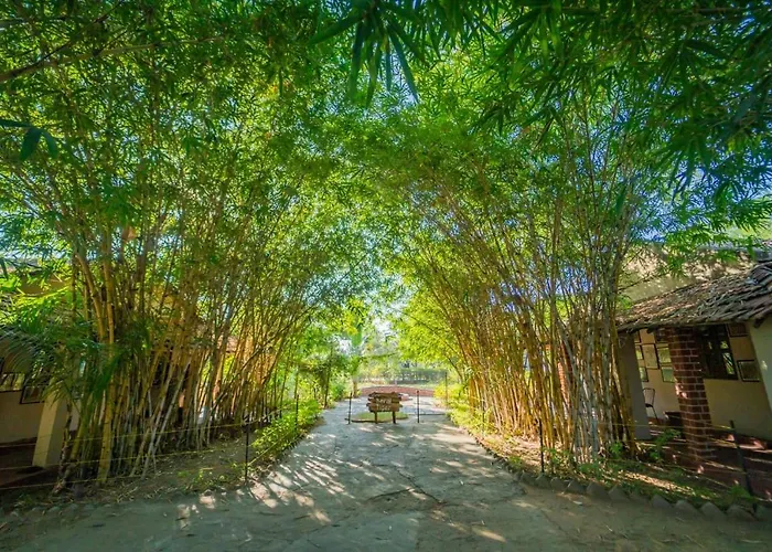 Camp Serai Tiger Tadoba