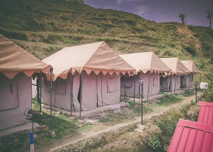 Camp O Royale