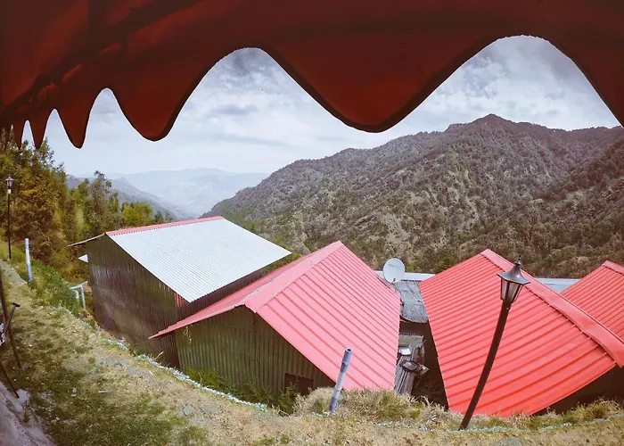 Camp O Royale