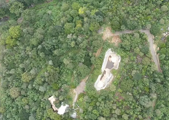 Blue Valley Estate-12 Acre Forest-Silver Oak-Villa